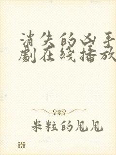 消失的凶手电视剧在线播放