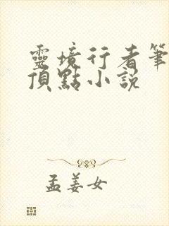 灵境行者笔趣阁顶点小说