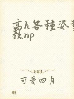 高h各种姿势调教np