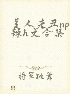 美人老丑np高辣h文合集