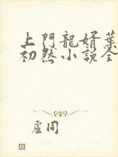 上门龙婿叶辰萧初然小说全文阅读