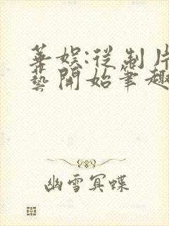 华娱:从制片综艺开始笔趣阁封面