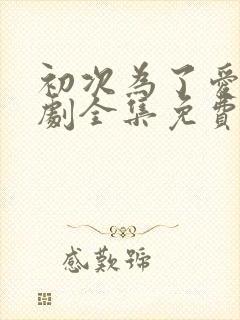 初次为了爱电视剧全集免费观看韩剧