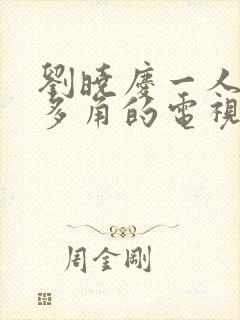 刘晓庆一人分饰多角的电视剧