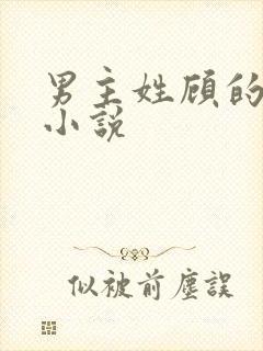 男主姓顾的全部小说封面