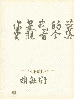 你是我的荣耀免费观看全集完整版