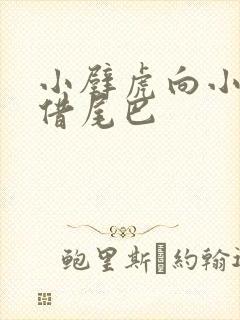 小壁虎向小松鼠借尾巴封面