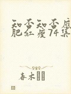 知否知否应是绿肥红瘦74集在线看