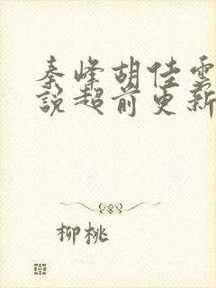 秦峰胡佳云的小说超前更新吗