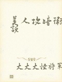 美人攻暗卫受小说