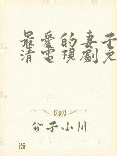 最爱的妻子的高清电视剧免费观看