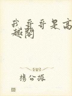 我哥哥是高欢笔趣阁