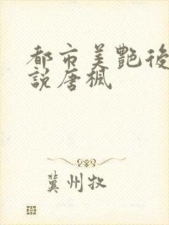 都市美艳后宫小说唐枫