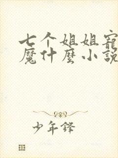 七个姐姐宠弟狂魔什么小说