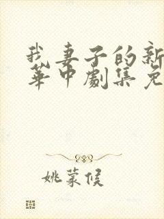 我妻子的新妈妈华中剧集免费观看封面