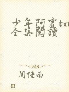 少年阿宾txt全集阅读