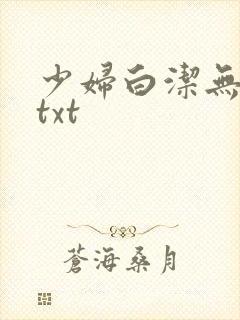 少妇白洁无删减txt