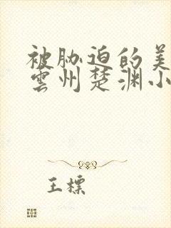 被胁迫的美人叶云州楚渊小说封面