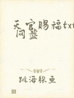 天官赐福txt 网盘