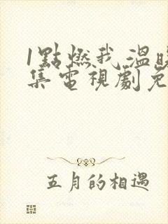 1点燃我温暖你集电视剧免费观看