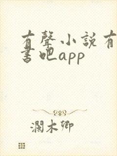 有声小说有声听书吧app