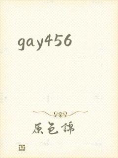 gay456封面