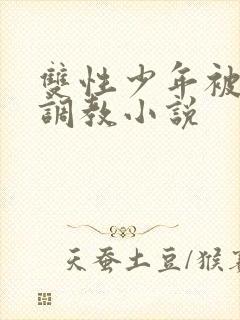 双性少年被主人调教小说
