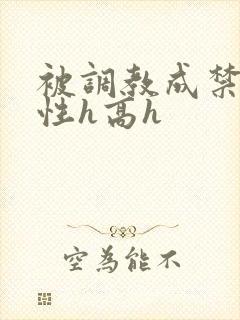 被调教成禁脔双性h高h