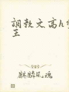 调教文高h双男主