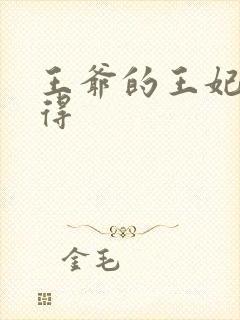 王爷的王妃惹不得