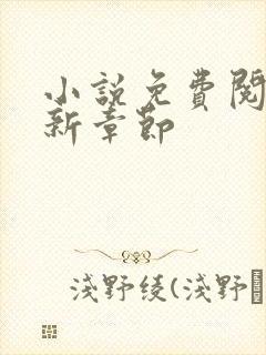 小说免费阅读最新章节