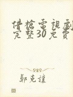 借枪电视剧全集完整30免费观看封面