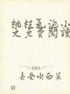 桃枝气泡小说全文免费阅读