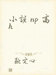 小说 np 高h