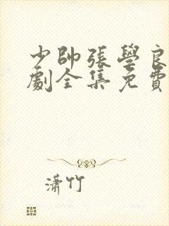 少帅张学良电视剧全集免费观看90