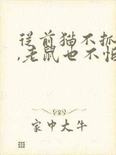 从前猫不抓老鼠,老鼠也不怕猫续写