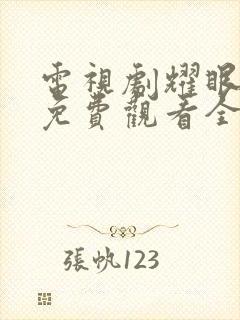 电视剧耀眼的你免费观看全集高清封面