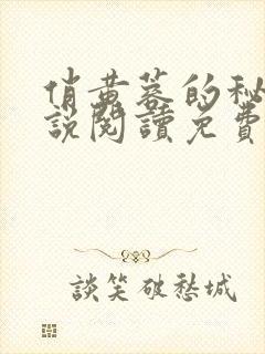 俏黄蓉的秘密小说阅读免费全文封面