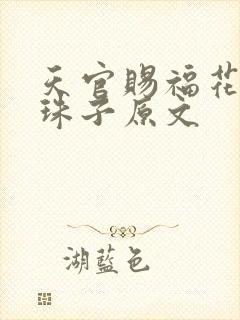 天官赐福花怜塞珠子原文