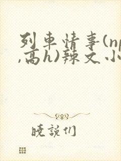 列车情事(np,高h)辣文小