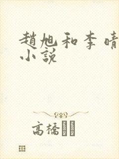 赵旭和李晴晴的小说