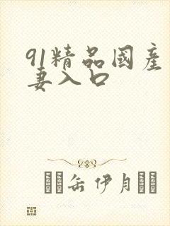 91精品国产人妻入口