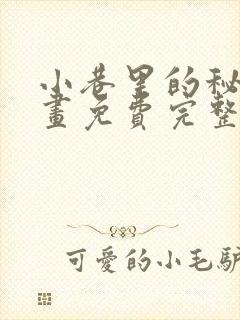 小巷里的秘密漫画免费完整在线观看