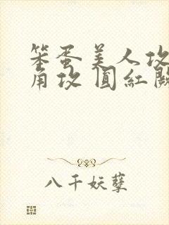 笨蛋美人攻了主角攻 圆红阙白 免费 小说