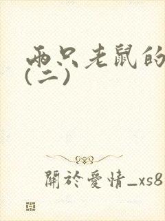 两只老鼠的故事(二)封面