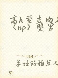 高h荤爽肉欲文〈np〉双男