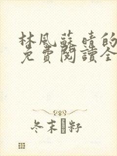 林风苏晴的小说免费阅读全文无弹窗封面