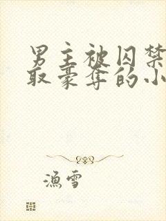 男主被囚禁被强取豪夺的小说笔趣阁