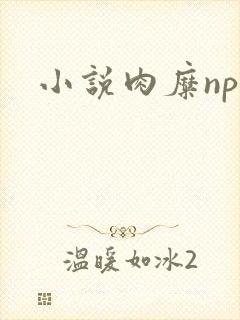 小说肉糜np