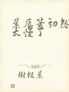 叶辰萧初然更新太慢了封面